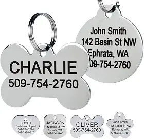 GoTags Etiquetas de identificação de animais de estimação de aço inoxidável, etiquetas personalizadas para cães e gatos, até 8 linhas de texto personalizado, gravadas em ambos os lados,