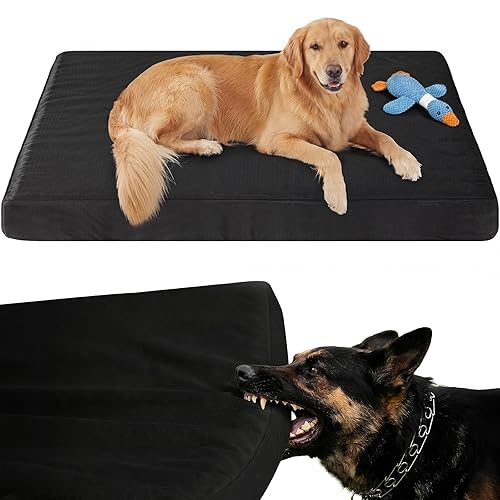 RRPETHOME 3" Chew Proof Indestructible Dog Bed for Large Aggressive