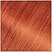 Garnier Hair Color Olia Ammonia-Free Brilliant Color Oil-Rich Permanent Hair Dye, 7.45 Dark Fire Ruby, 2 Count (Packaging May Vary)