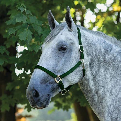 Miniatura 5 de Caballo de tiro de nailon Breakaway Turnout Halter Turnout Halter para caballos de tiro  Pestaña de separación de seguridad mejorada  Construcción