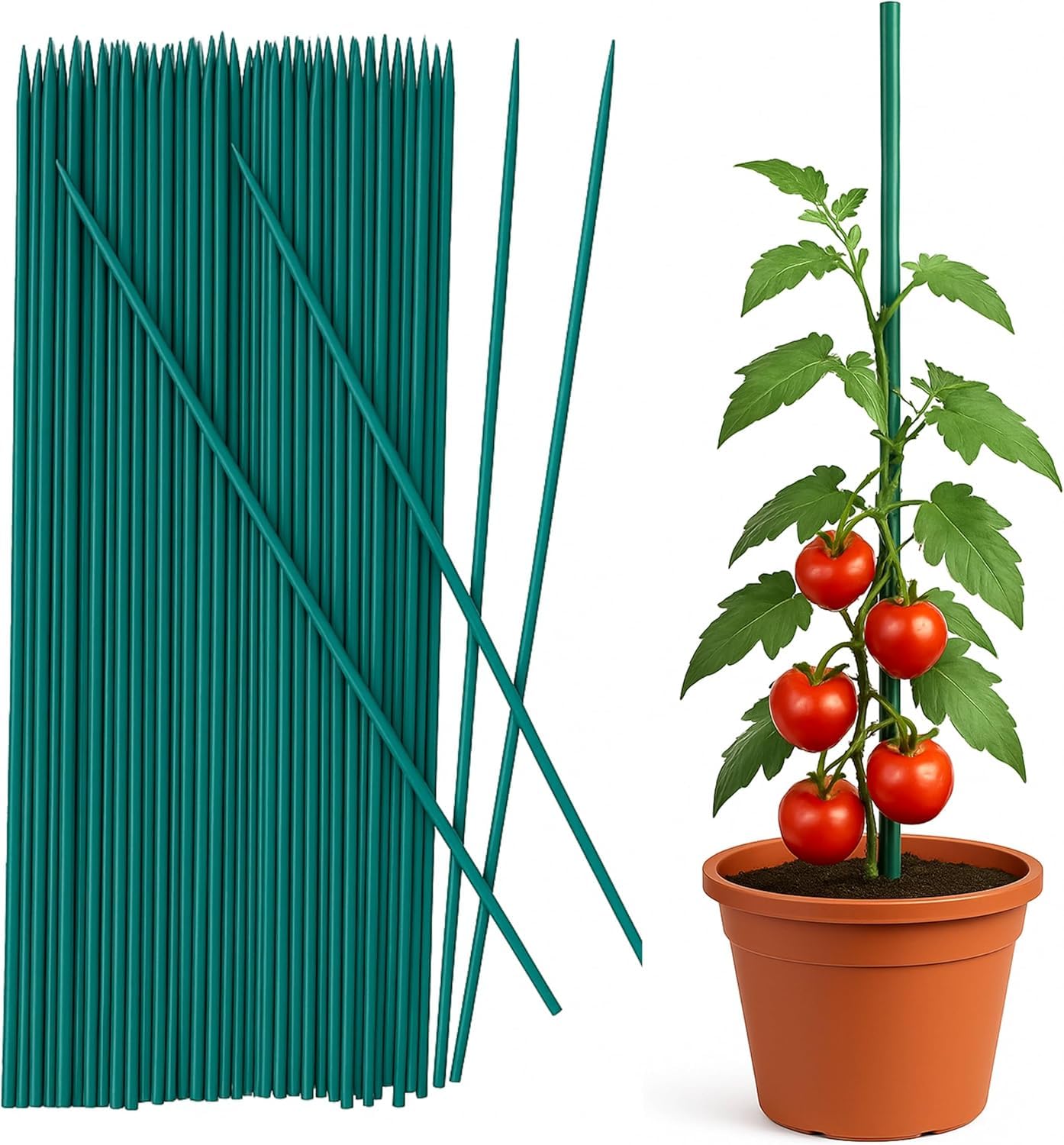 ADEPTNA 50 Pack Green Bamboo Garden Stakes – Weather-Resistant Plant Support Sticks – Eco-Friendly Green Canes for Flowers, Vegetables, Climbing Plants – Ideal for Gardening & Tripods (75cm)