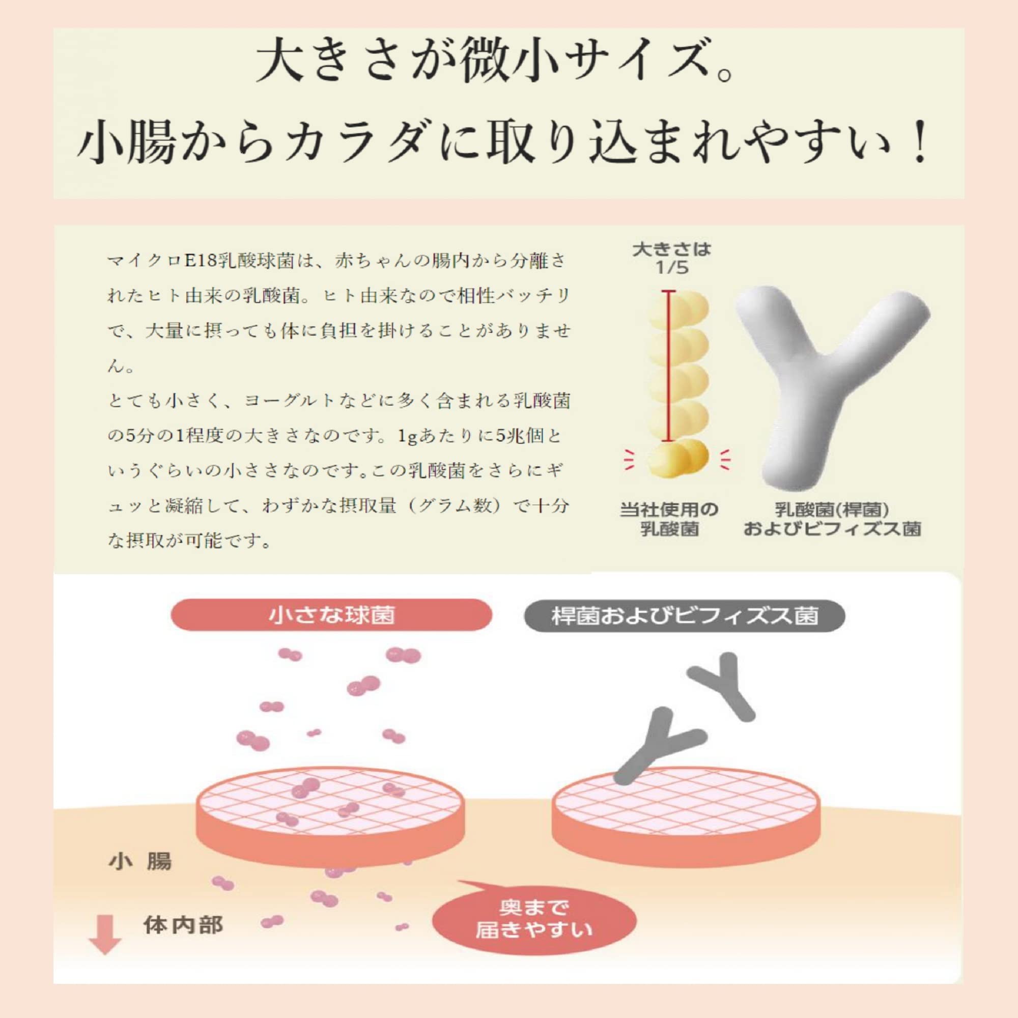 Amazon.co.jp: いなば食品 【メーカー公式】 3000億個 すごい乳酸菌
