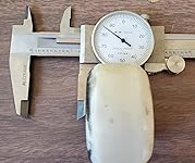 Review Image by Facial Turtle Vomit Fights Facial Turtle Vomit Fights