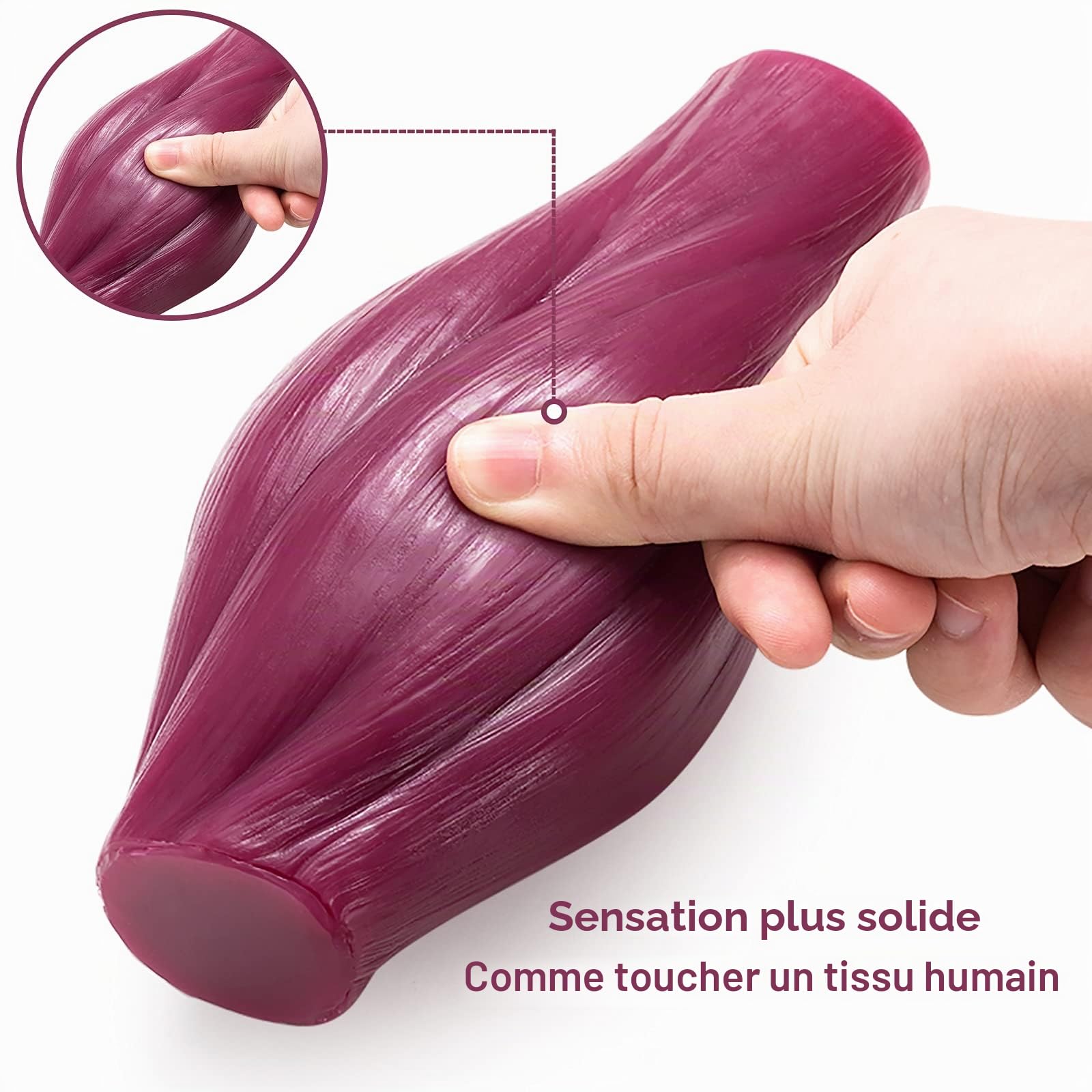Modèle de réplique de muscle du corps humain - 1 lb pour garder la forme et l'encouragement de la forme physique pour les amateurs de fitness, nutritionnistes, athlètes