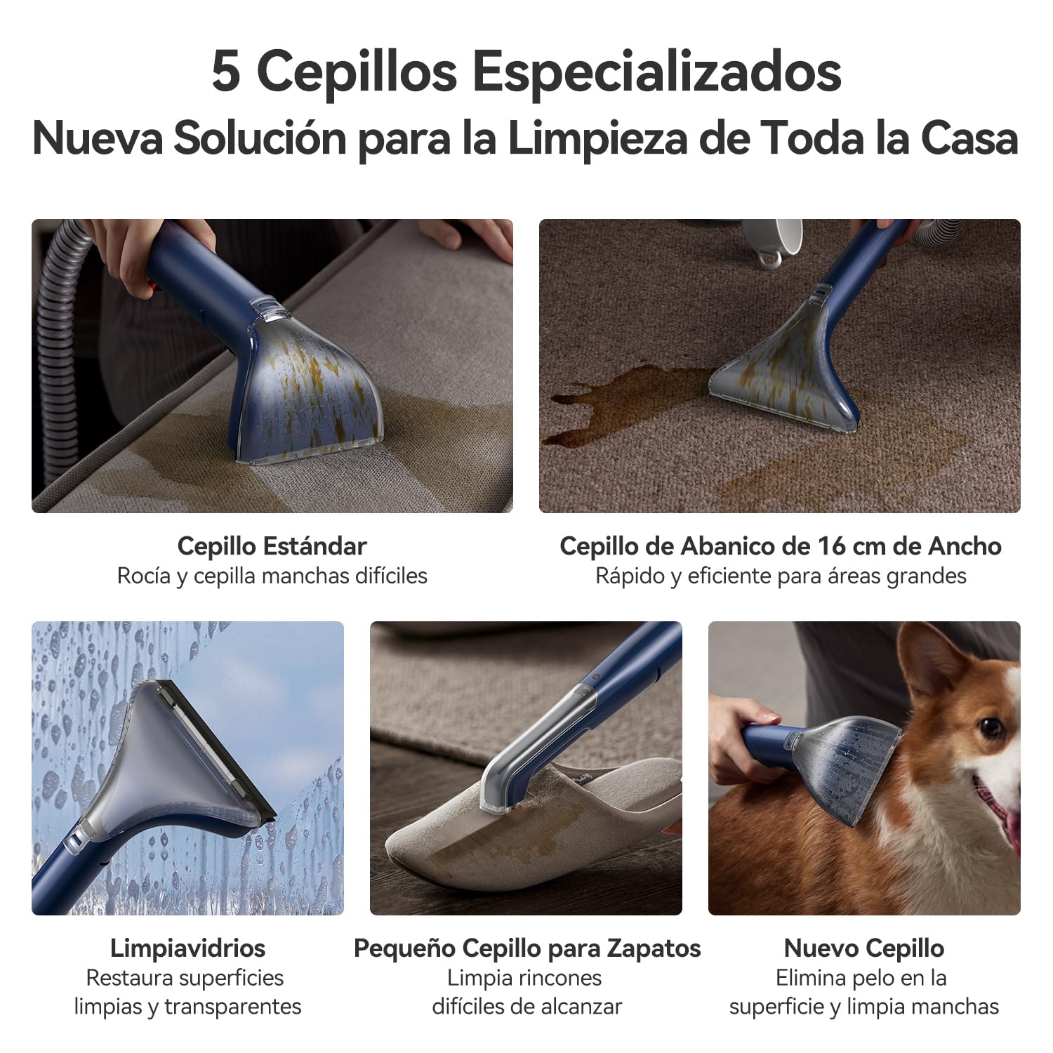 Deerma DEM-BY200 Limpiadora a Vapor y Aspiradora en Seco y Húmedo, con 5 Cepillos Especializados y Succión de 900W para Alfombras, Sofás y Tapicerías