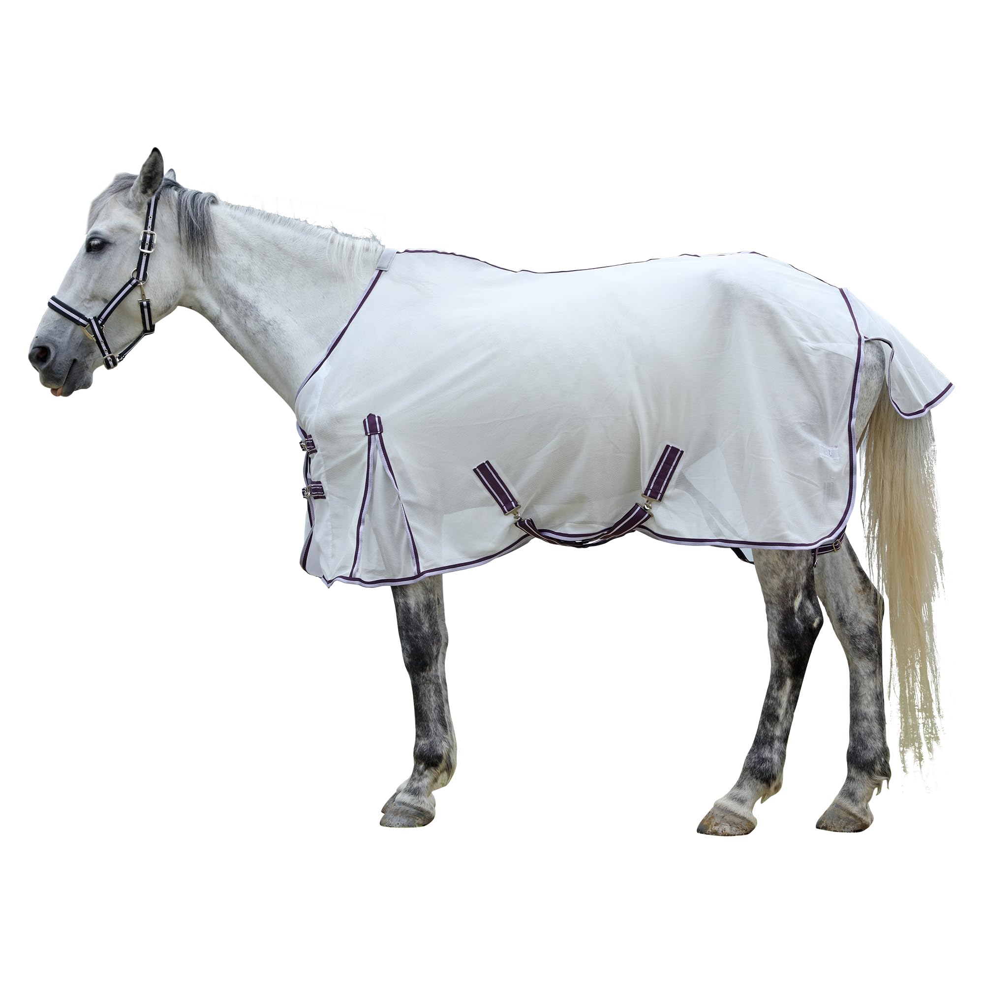 Leberna Fly Rug for Horses - Breathable Anti-Fly Mesh Summer Horse Fly Sheet with Tail Cover, UV Protection & Anti-Mosquito