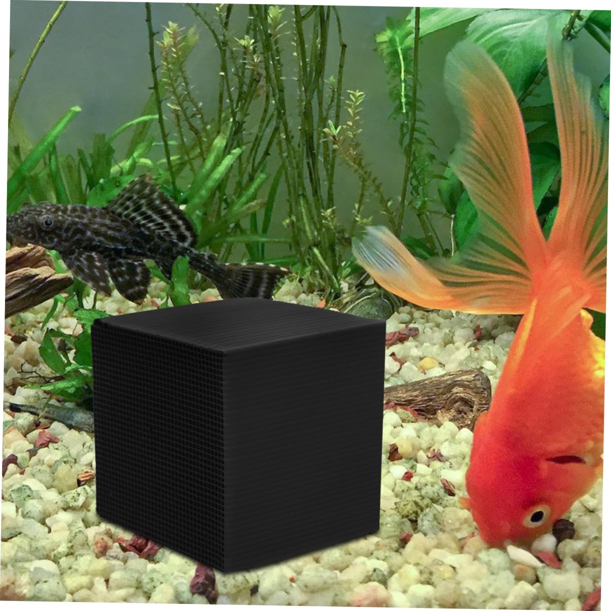 COLLBATH Aquarium Wasserfilterwürfel 2 Stück Wiederverwendbare Filterwürfel Für Aquarien Tragbarer Filtermedium