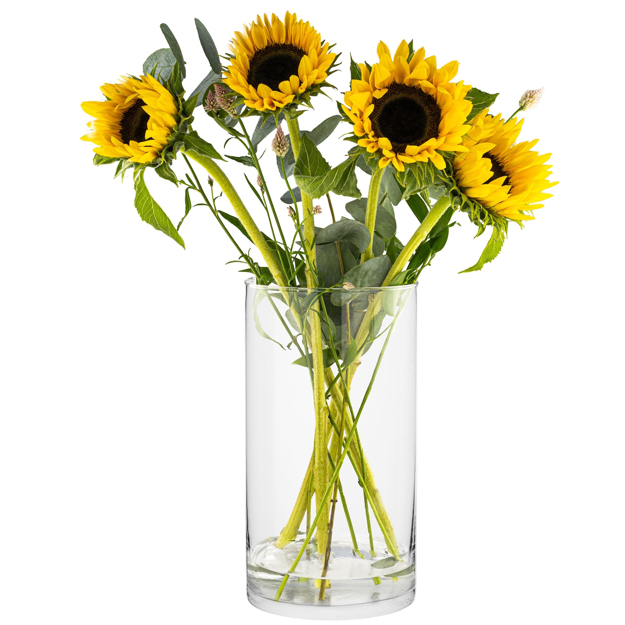 TREND FOR HOME Floor Tall Vase H: 29 cm Glass Vases for Flowers Floor Vase Clear Vase Cylinder Vase for Pampas Grass Large Vase Round Tall Vases Floor Standing | Ø 15.9 cm | 4800 ml | Magnolia