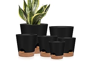 Self Watering Planters 6 Pack