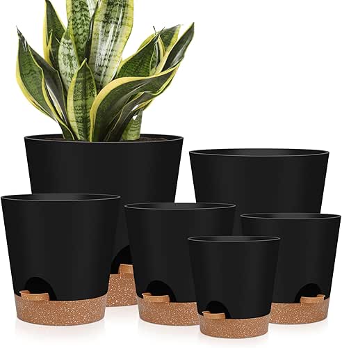 Indoor Self Watering Planters with Drainage Holes and Saucers, 8,