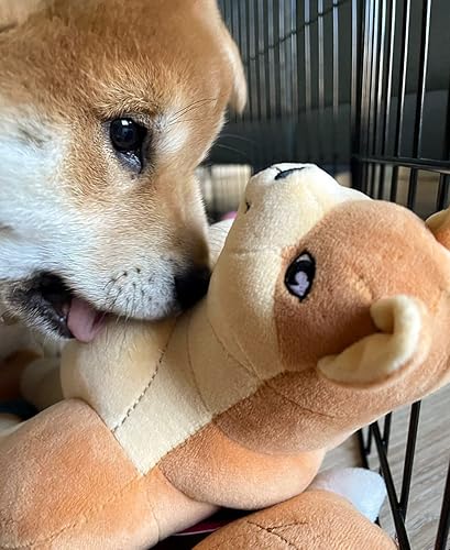 Miniatura 7 de Peluche Swole Doge, peluche de 12 pulgadas, juguetes de peluche lindos - Colección de memes de Youtooz basada en famosos memes de Internet