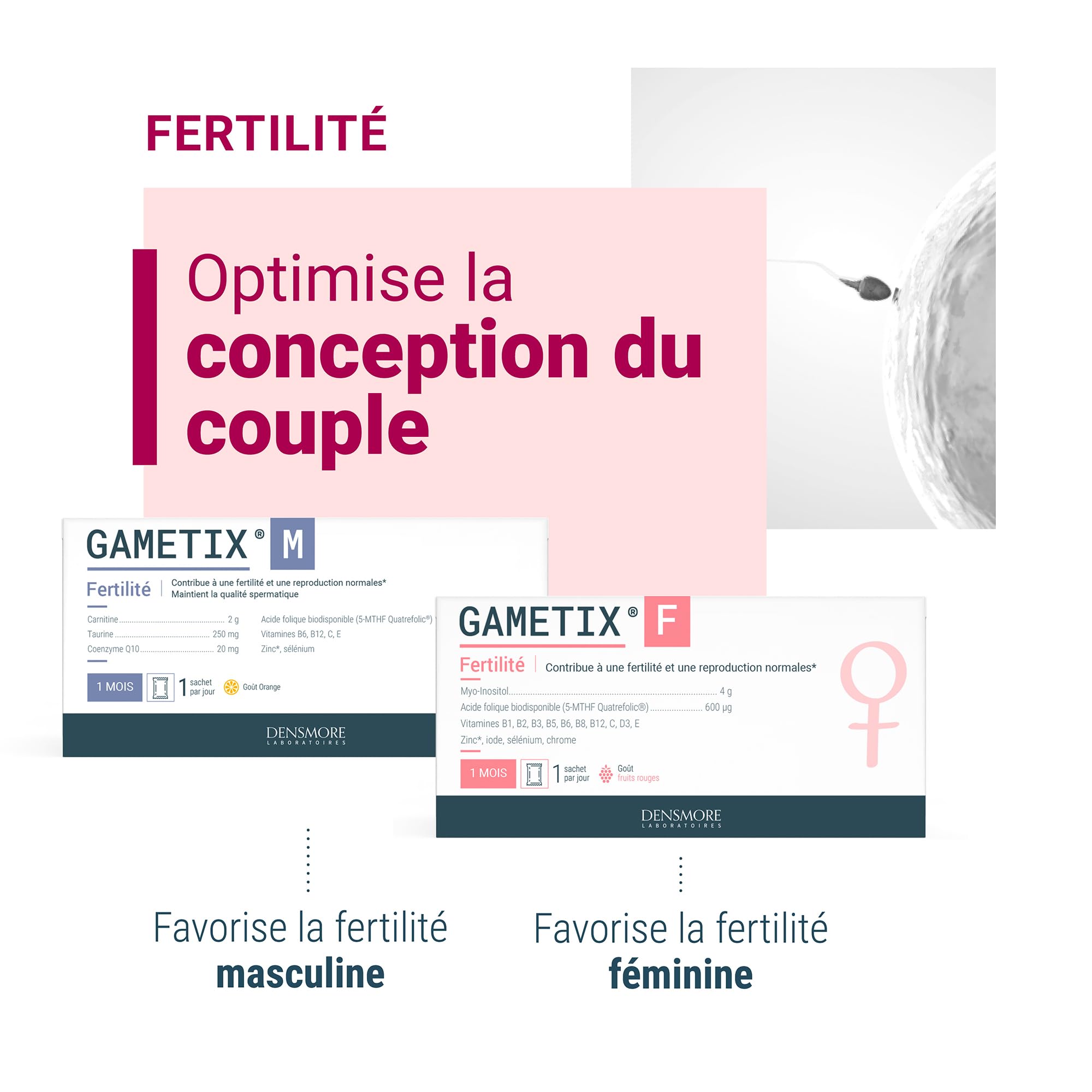 Densmore - Cure de 3 mois - GAMETIX F - Fertilité femme et Grossesse - Complément Alimentaire à base Vitamines et Minéraux, Myo-Inositol, Acide Folique - 90 sachets - Fabriqué en France