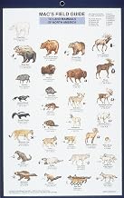 Mac's Field Guides: North American Land Mammals (Mac's Guides (Paperback))