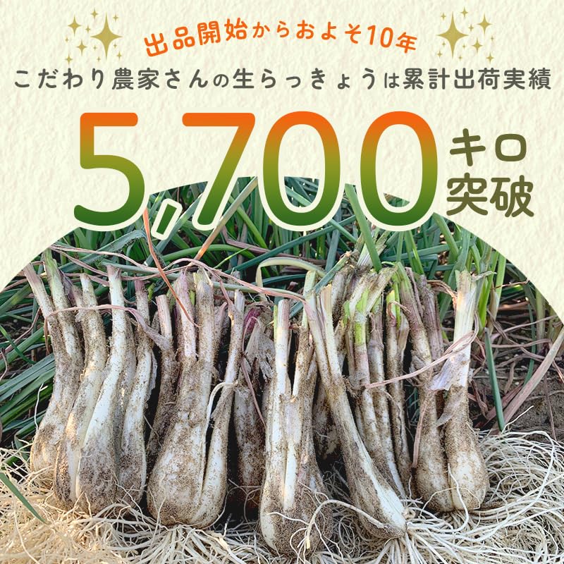 鳥取県産 らっきょう 10kg 土付き Amazon.co.jp: 鳥取県産 生らっきょう 10kg（土付き 根付き 茎付き