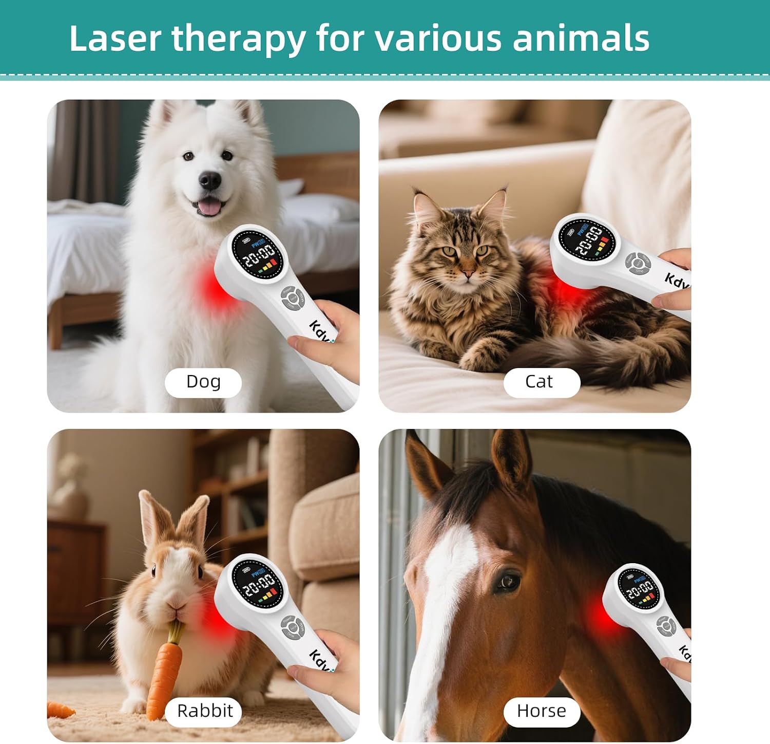 Cold Laser Therapy Device for Dogs, 16pcs 660nm & 4pcs 810nm & 4pcs 980nm Infrared Red Light Therapy Machine for Pain Relief, Arthritis, Spinal, Promote Blood Circulation, for Pets