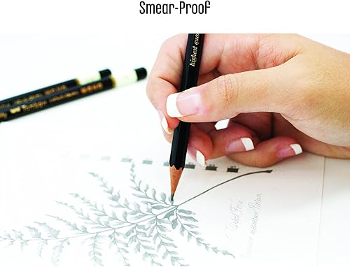 Miniatura 6 de Tombow Lápices de dibujo profesionales MONO, juego de 12, HB