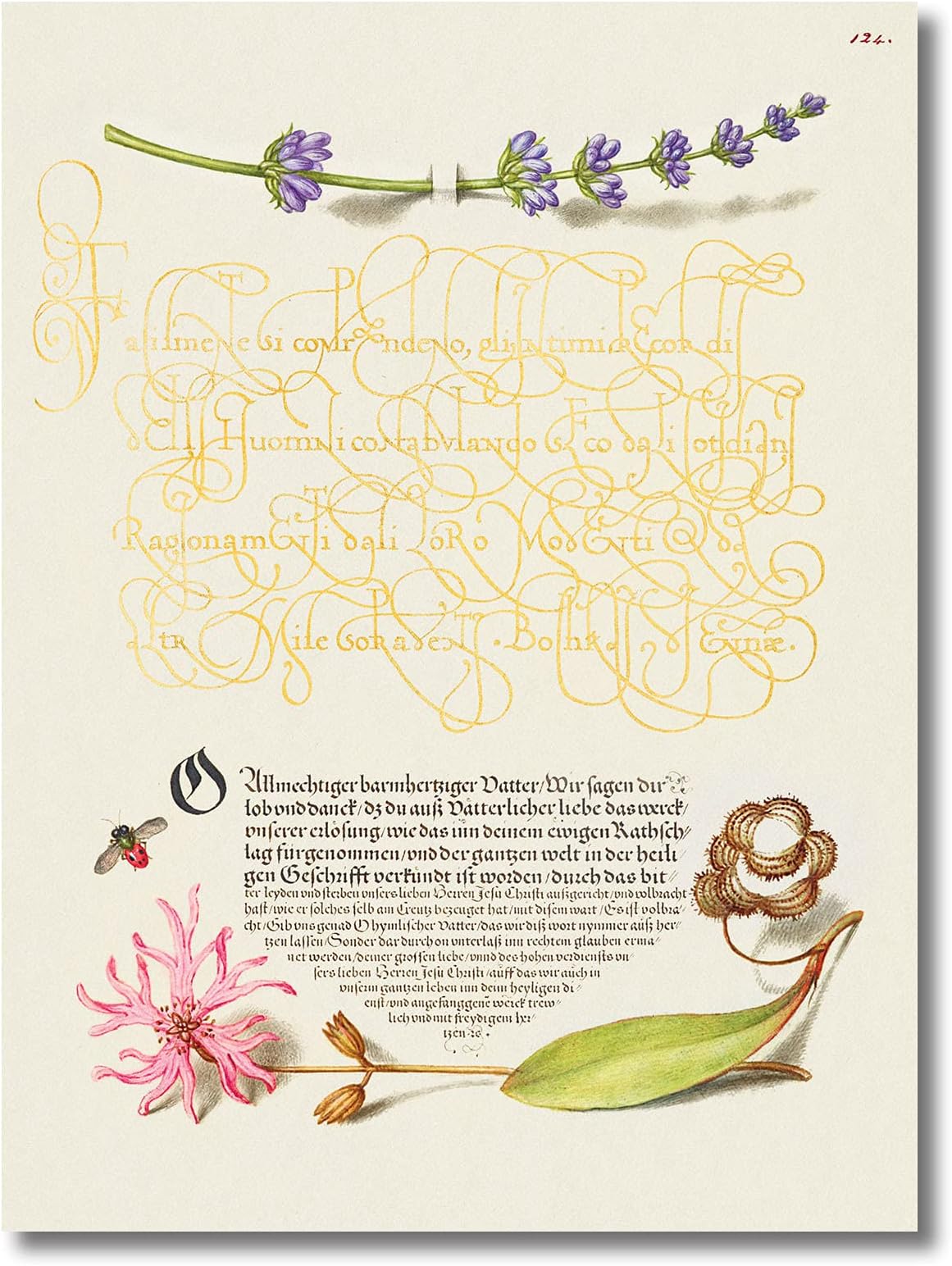 Tamatina Canvas Painting | Joris Hoefnagel | Famous Art | The Model Book of Calligraphy (1561–1596) | Wall Décor | Size - 24X18 Inches | Q0