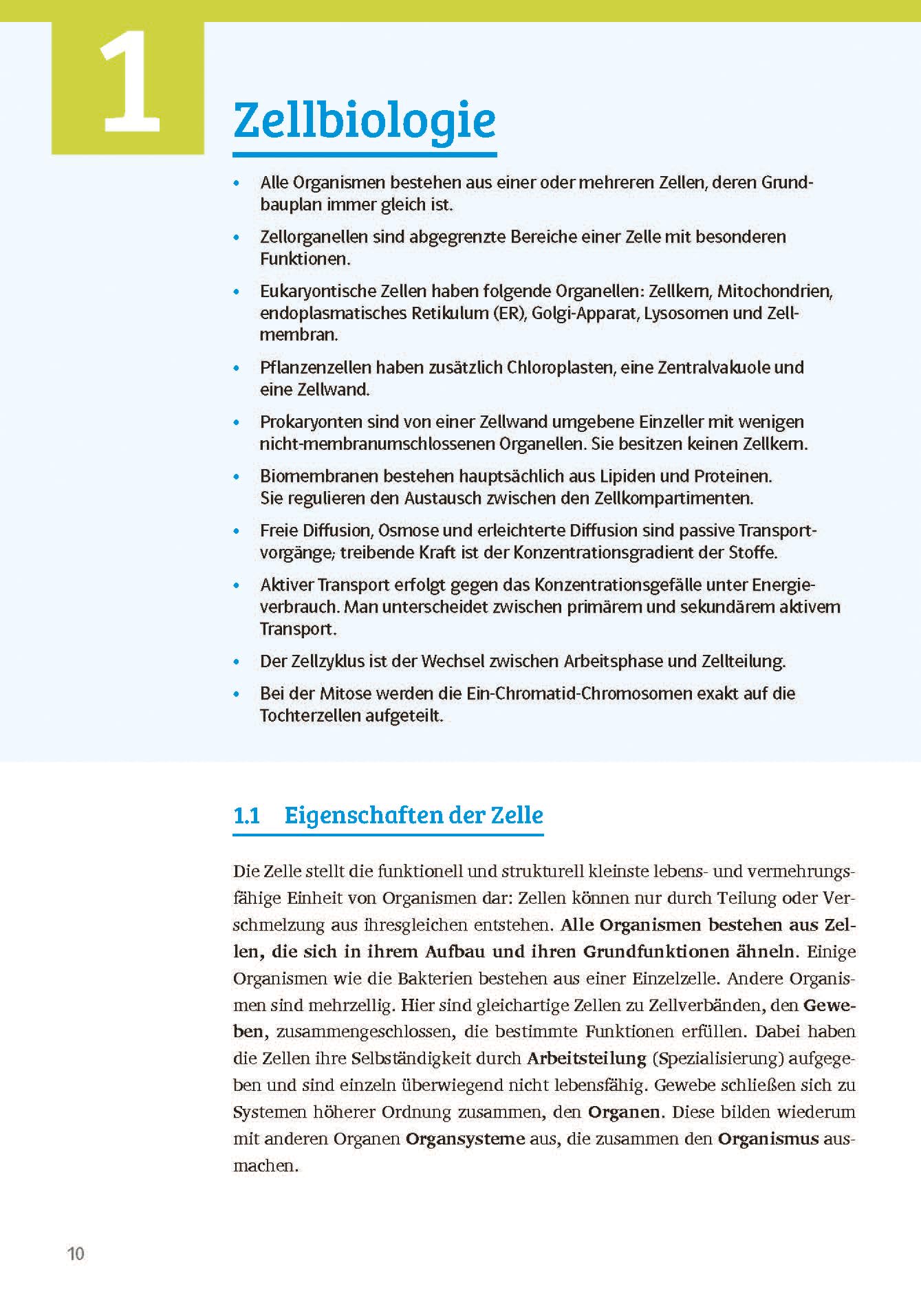 Klett Sicher im Abi Biologie: Das komplette Oberstufen-Wissen (Klett Sicher im Abi / Oberstufen-Wissen)