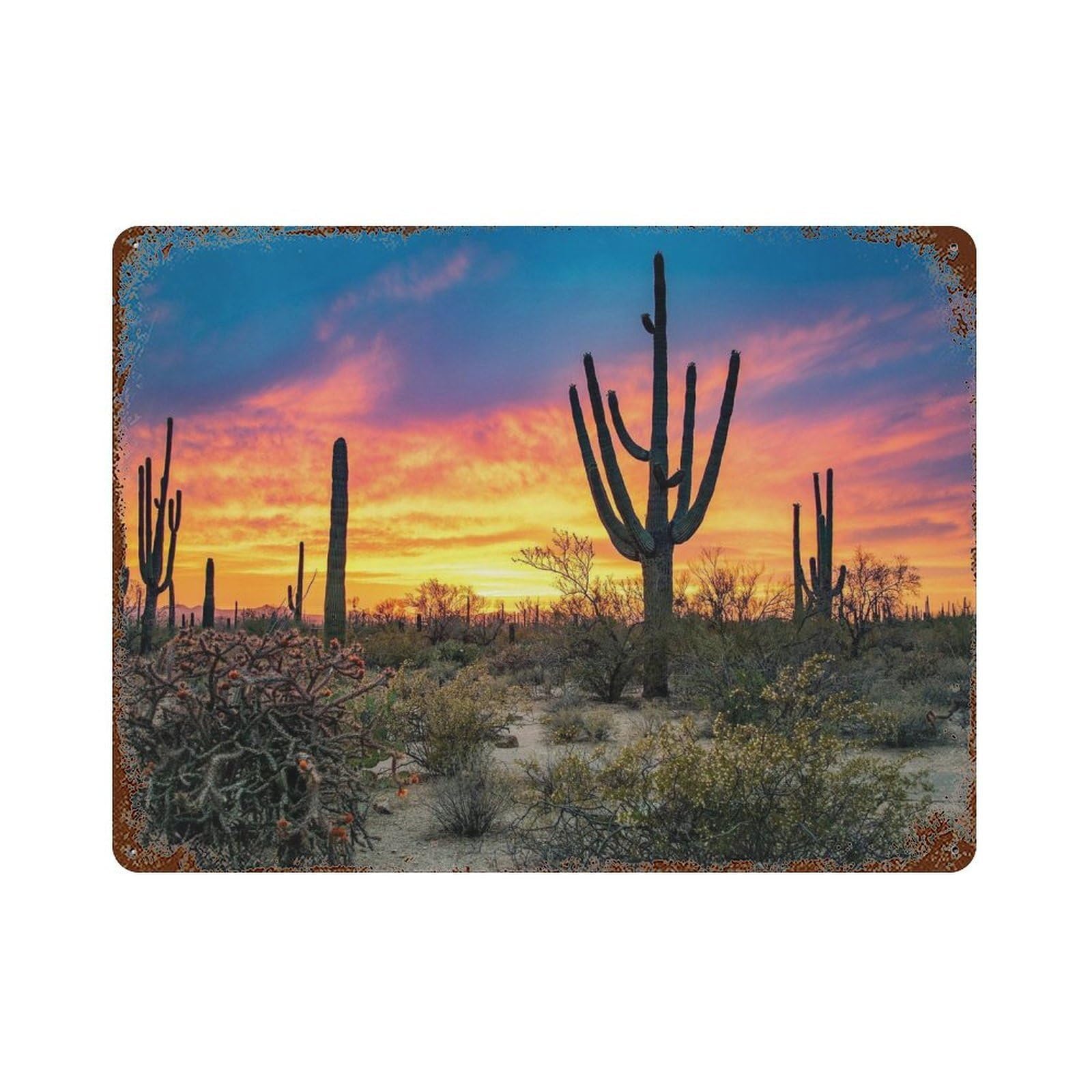 xiaoxiaoshen Real Photo Arizona Decor USA Wall Decor Art Metal Tin Poster Modern Home Decor Art Home Bar Shop Decorations Vintage Sign 30x40cm