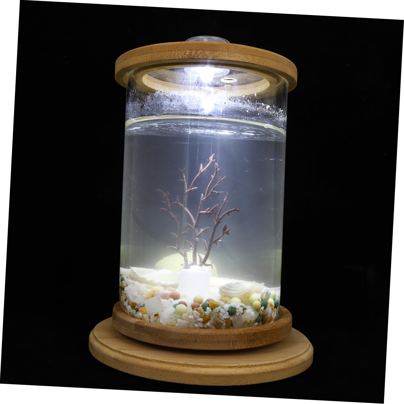 BESPORTBLE Pecera Decorativa Ecológica para Escritorio Diseño Natural, Vidrio Templado y Bambú, Adecuado para Hogar y Oficina Batería Incluida