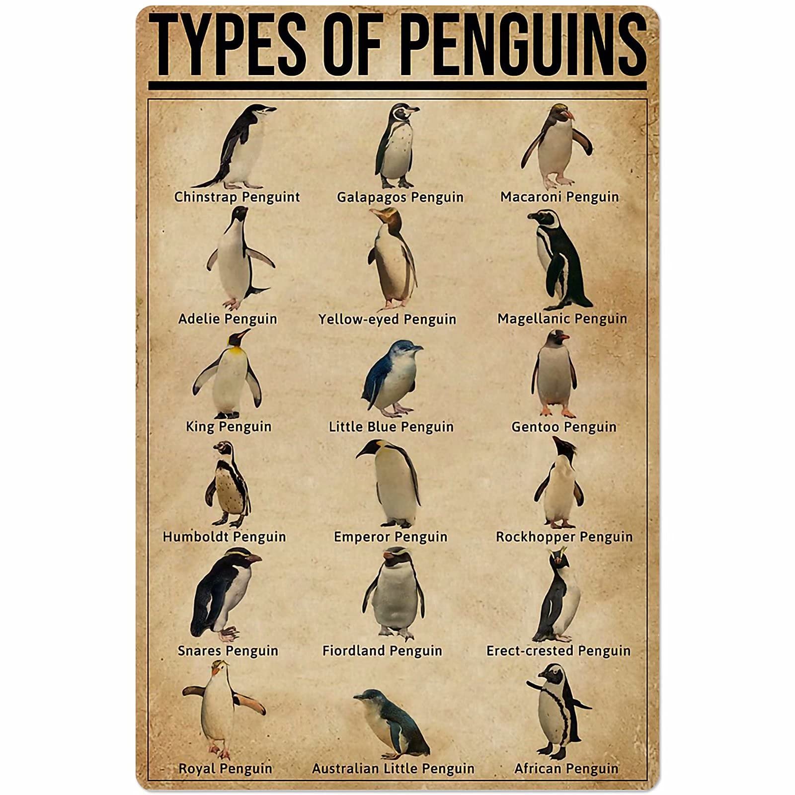 Tfzqm Style-1 Metal Sign Types Of Penguin Wall Decor Penguin Chart Posters Home Decor School Education Club Decor Printing Plaque 8X12 Inches