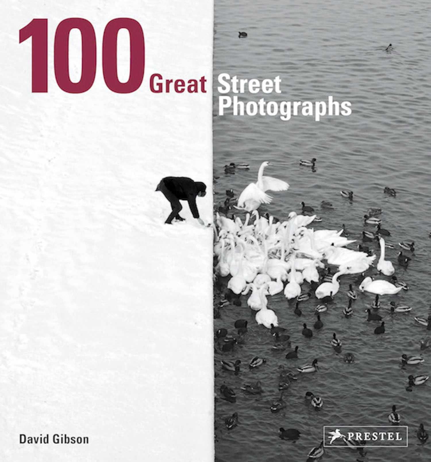 100 Great Street Photographs: Paperback Edition by David Gibson (Paperback,...