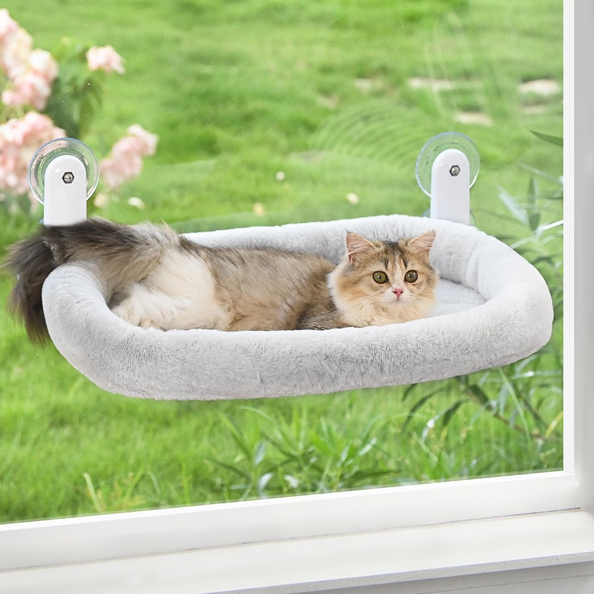 Zoratoo Cat Window Perch, Cordless Cat Hammock Window Seat with Cozy Pad Bed Cover for Indoor Cats, Durable Metal Frame Support Pet Bed with 4 Suction Cups for Large Cats (Cushion Pad Bed - Grey)