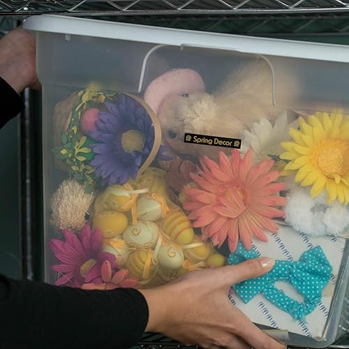 Miniatura 14 de Brother - Cinta de etiquetas laminadas P-touch M31, prémium, 0.47 pulgadas de ancho x 26.2 pies de largo, negra sobre transparente mate Negro sobre