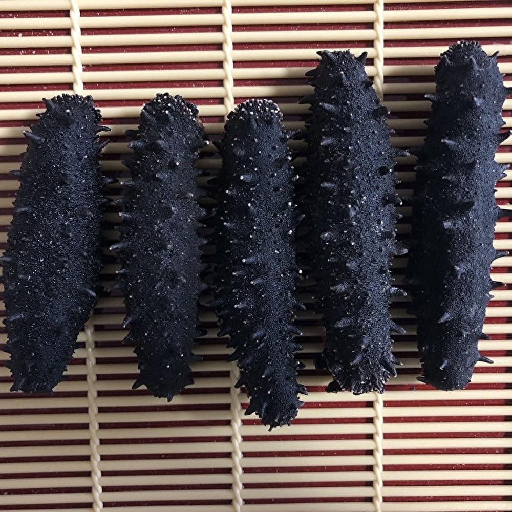 青森産 乾燥黒なまこ 1KG B級品 黒海参 黒ナマコ (小サイズ)