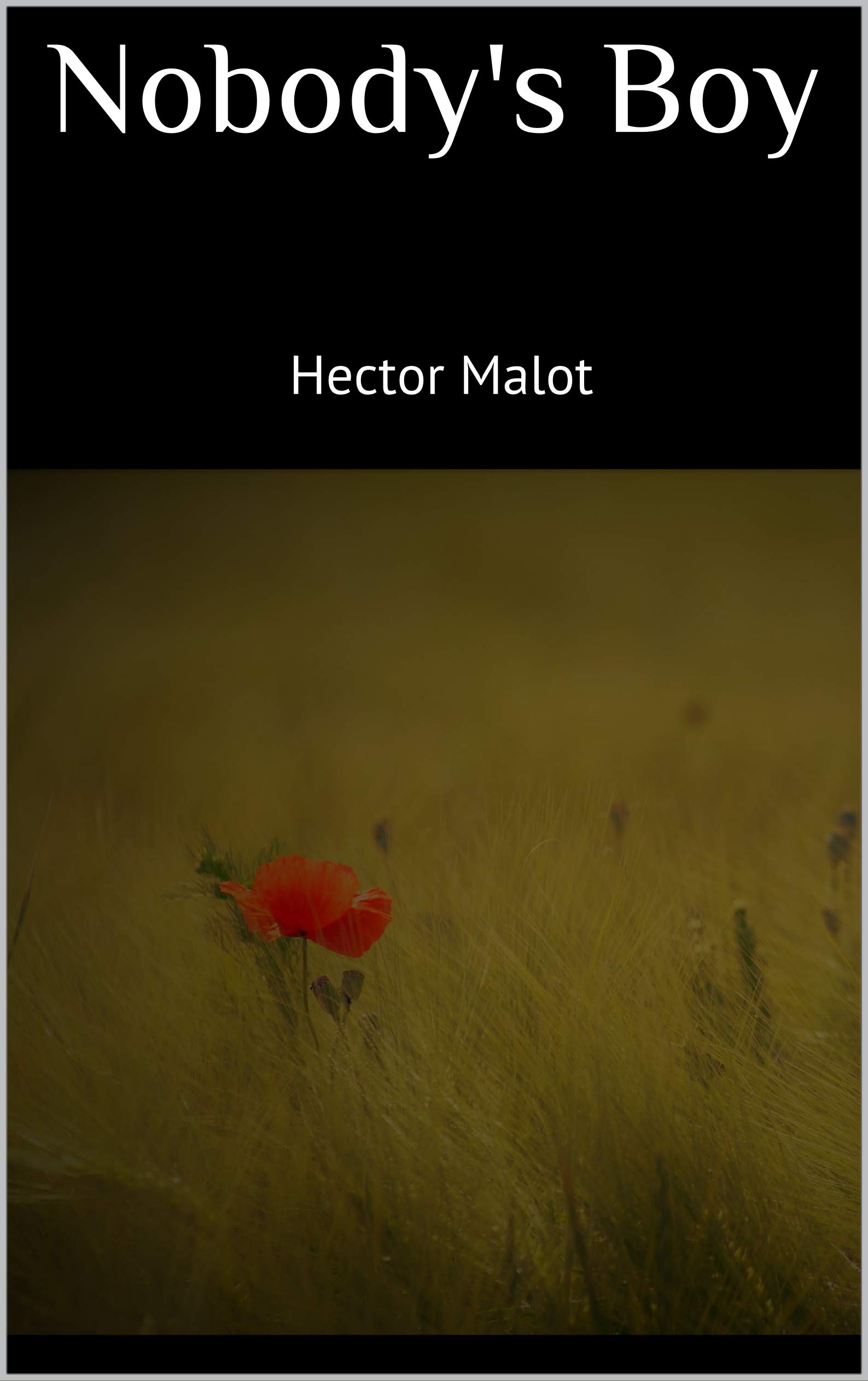 Nobody's Boy