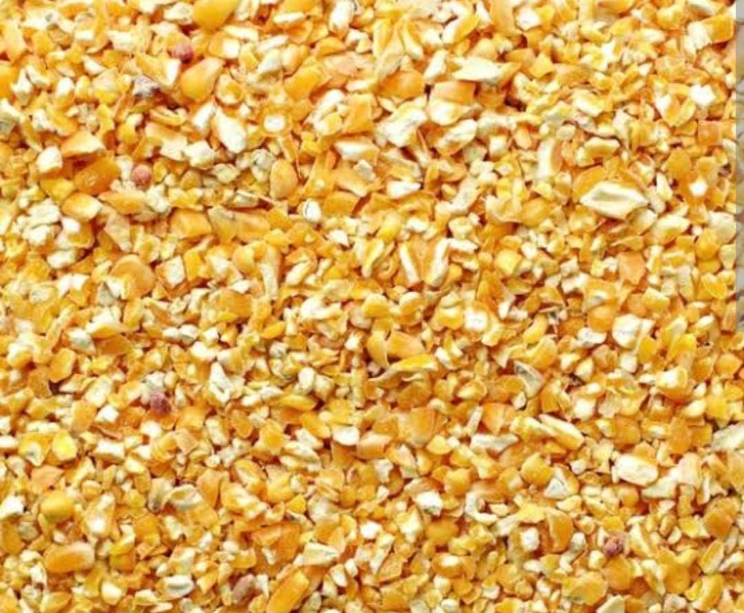dadfirm broken corn (crushed-corn) - high protein bird food 1000 gm.