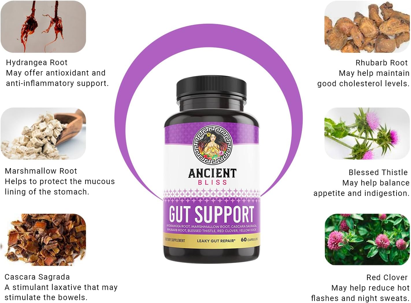 Ancient Bliss Leaky Gut Supplement, L Glutamine Capsules for Gut Support with Blessed Thistle and Hydrangea Root, Vegan and Non-GMO, 60 Capsules