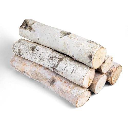 17 Inch Natural Birch Logs - Decorative Dried Birch Wood