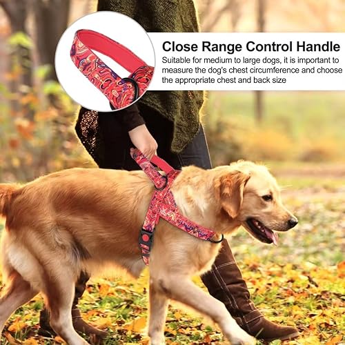 Miniatura 3 de Beirui Arnés sin tirones para perro, con patrones de impresión únicos, arnés de correa para perro a prueba de escapes con acolchado de malla suave,