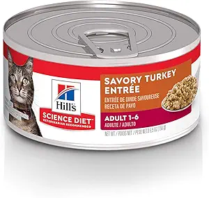 Hill's Science Diet Wet Cat Food, Adult, Savory Turkey Recipe, 5.5 oz. Cans, 24-Pack