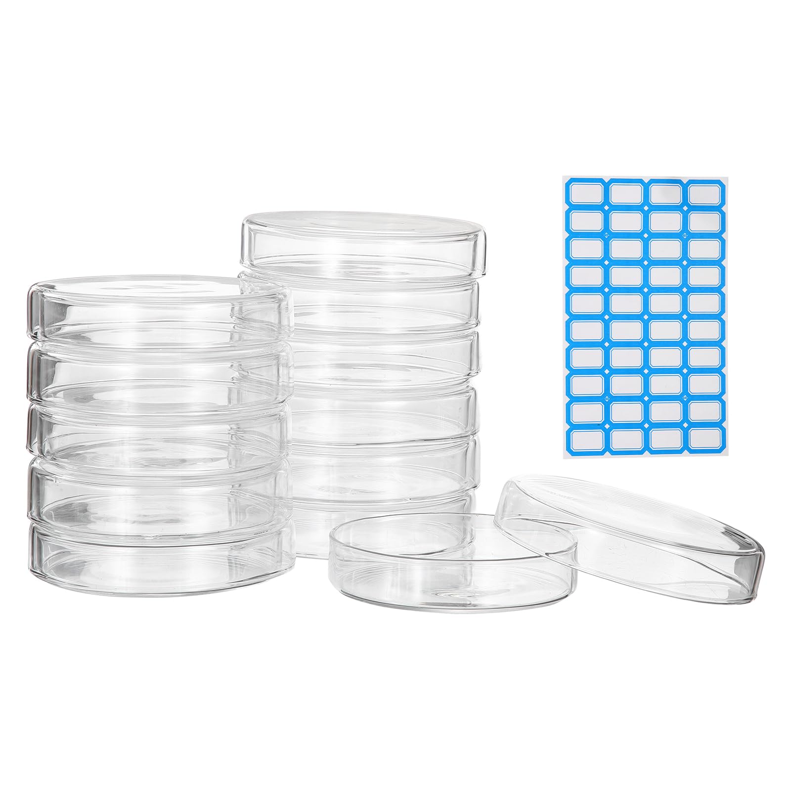 PATIKIL 12 Pezzi Piastre Petri In Vetro Con Coperchio 100 Mm Spessore Borosilicato Alta Resistenza Autoclavabile Per Colture Laboratorio Etichetta Per Esperimenti Scientifici Progetti