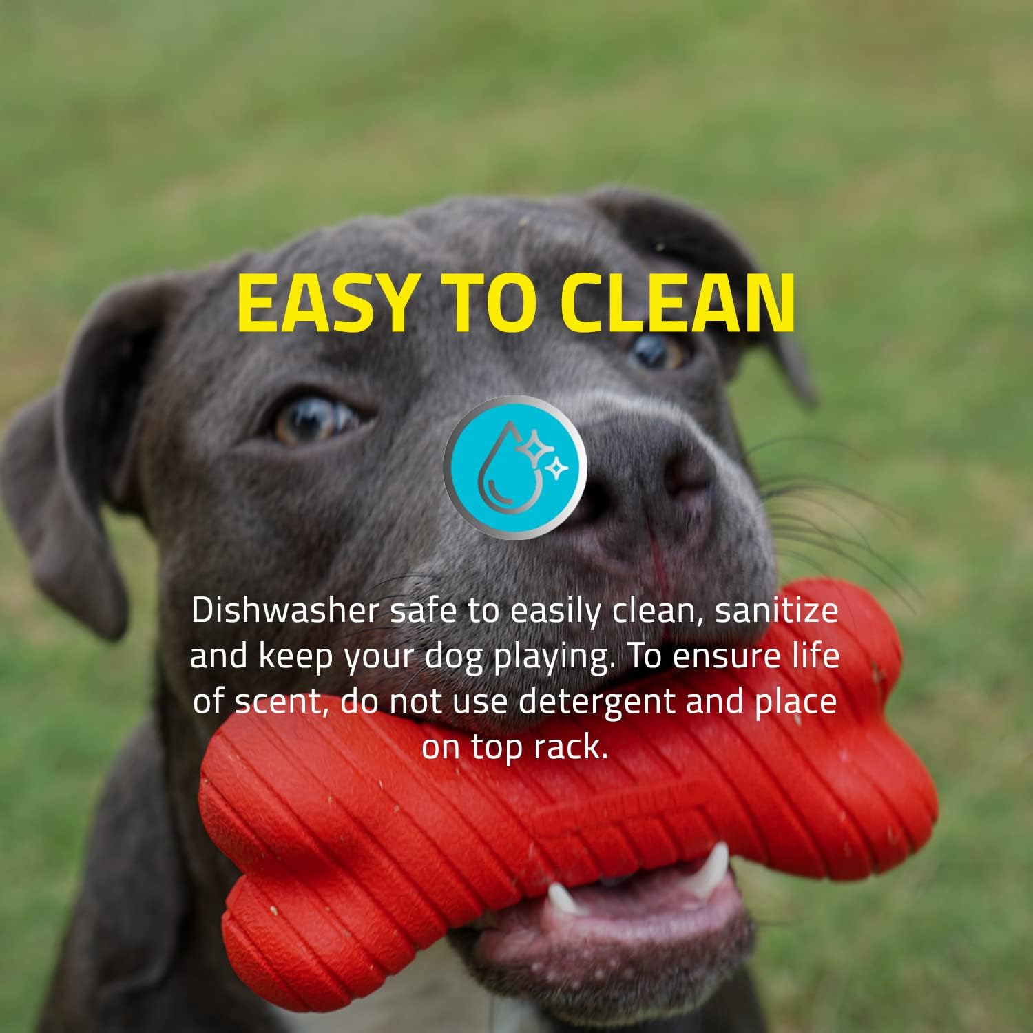 Pet Supplies : Playology Dual Layer Bone Dog Toy, for Medium Dogs (15-35lbs) - for Heavy Chewers - Engaging All-Natural Beef Scented Toy - Non-Toxic Materials : 