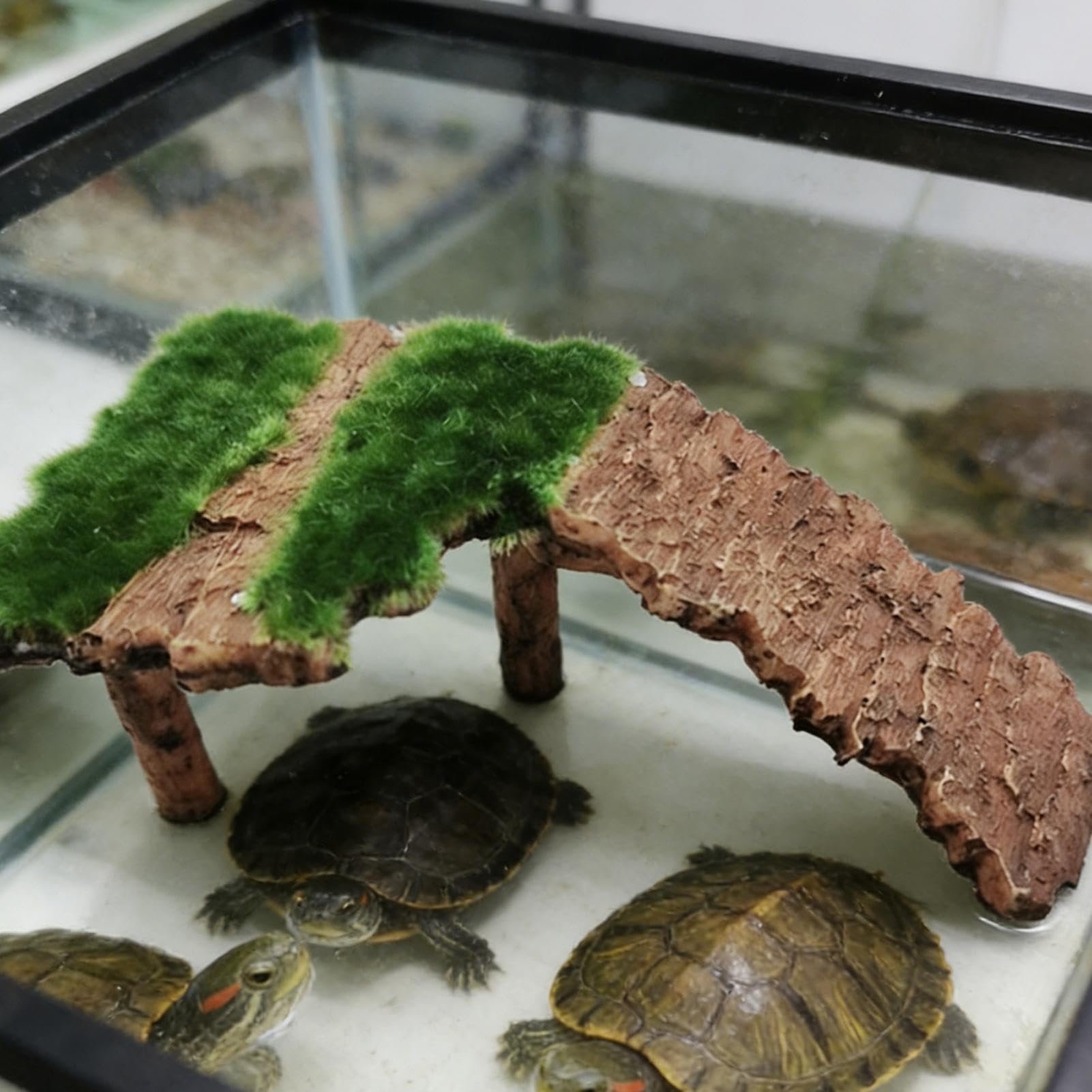 Genérico Vestido Mini de Encaje Off Shoulder - Plataforma de Descanso para Terrario | Terraza Reptil Tortuga - para Ranas, Reptiles, Tortugas terrestres y acuáticas, Dragones barbudos y Geckos — view 3