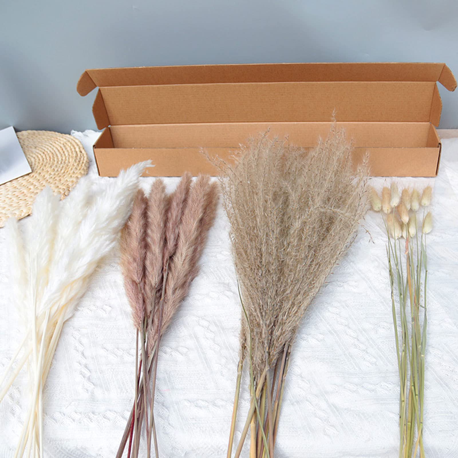 Decoración de Hierba de Pampa Natural de 80 Tallos – Colas de Conejo secas, Hierba de caña Beige para decoración del hogar, arreglos Florales, decoración Bohemia, 20 Pulgadas de Alto