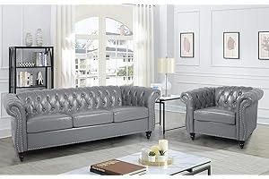 Elevate Your Living Space with RARZOE's Modern 2-Piece Contemporary Sofa Set