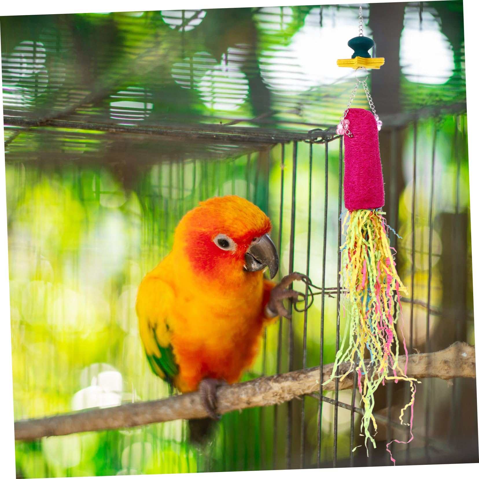 VANZACK 6stücke Teiliges Vogelspielzeug Papageien Lustige Kauspielzeuge Für Vögel Hängendes Zerkleinerungsspielzeug Für Käfige Langeweile Und Fördert Die Aktivität