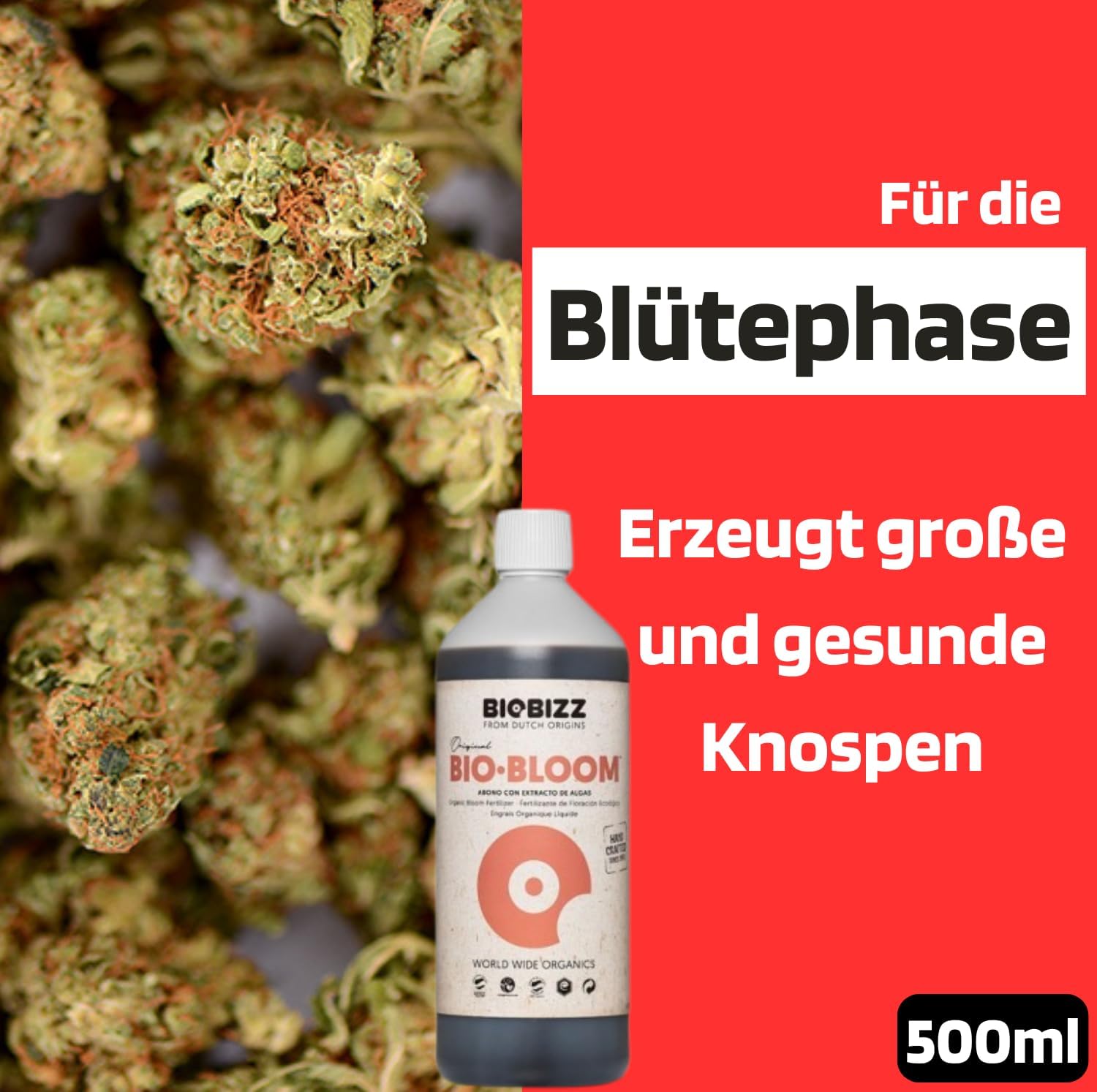 Starter Pack Biobizz Dünger Set Pflanzendünger Starterset GrowSet Indoor Wachstum und Blüte | 100 % organisch | Für 10–30 Pflanzen | Für Anfänger geeignet | Einfache Anwendung