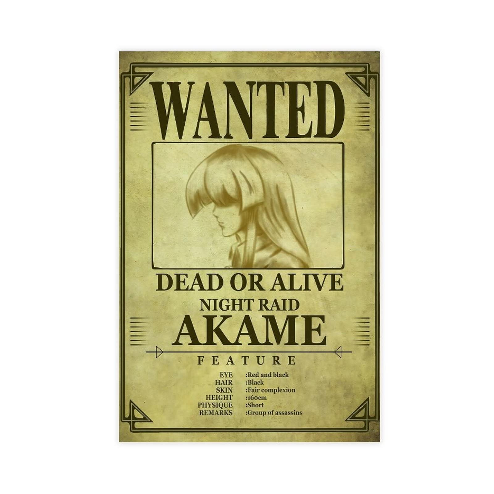 MDGT Anime Akame Ga Kill Wanted Poster AKAME Canvas Poster Bedroom Decor Sports Landscape Office Room Decor DONGDA Poster Gift Unframe:08x12inch(20x30cm)
