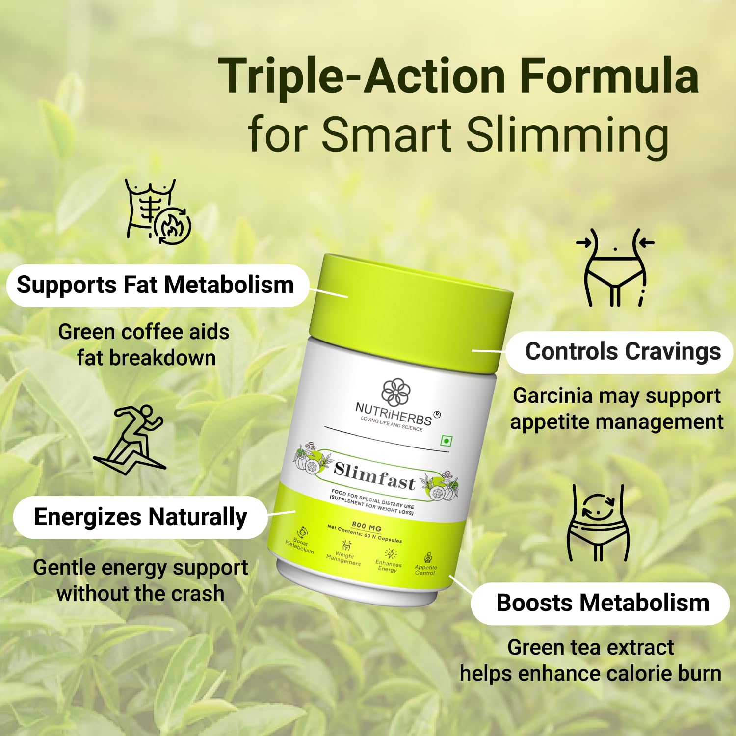 NUTRiHERBS Slimfast 800mg Capsules with Garcinia, Green Coffee, Green Tea Extract - Natural Weight Loss & Metabolism Booster, Supports Healthy Digestion - 60 Capsules Pack of 2 - Image 5 thumbnail