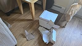 Review Image by C. David C. David