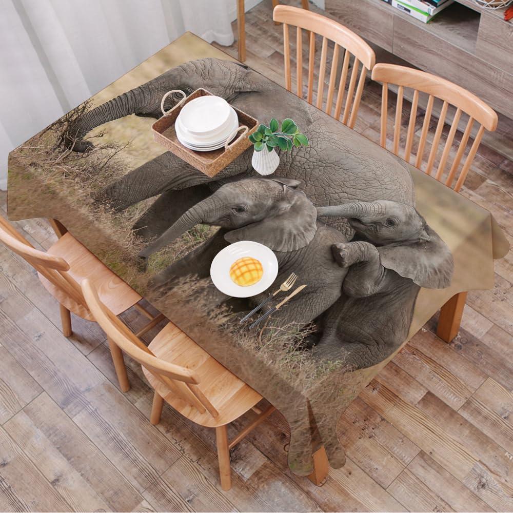 Dalexhm Safari Elephant Mom And Baby Elephant On Afr - A1 Table Cloth Wipe Clean Rectangular, Wipeable Tablecloths,Dining Table Cover For Kitchen Outdoor Garden Table,Safari Elephant Mom And Baby Elephant On African Grassland,54X72 In