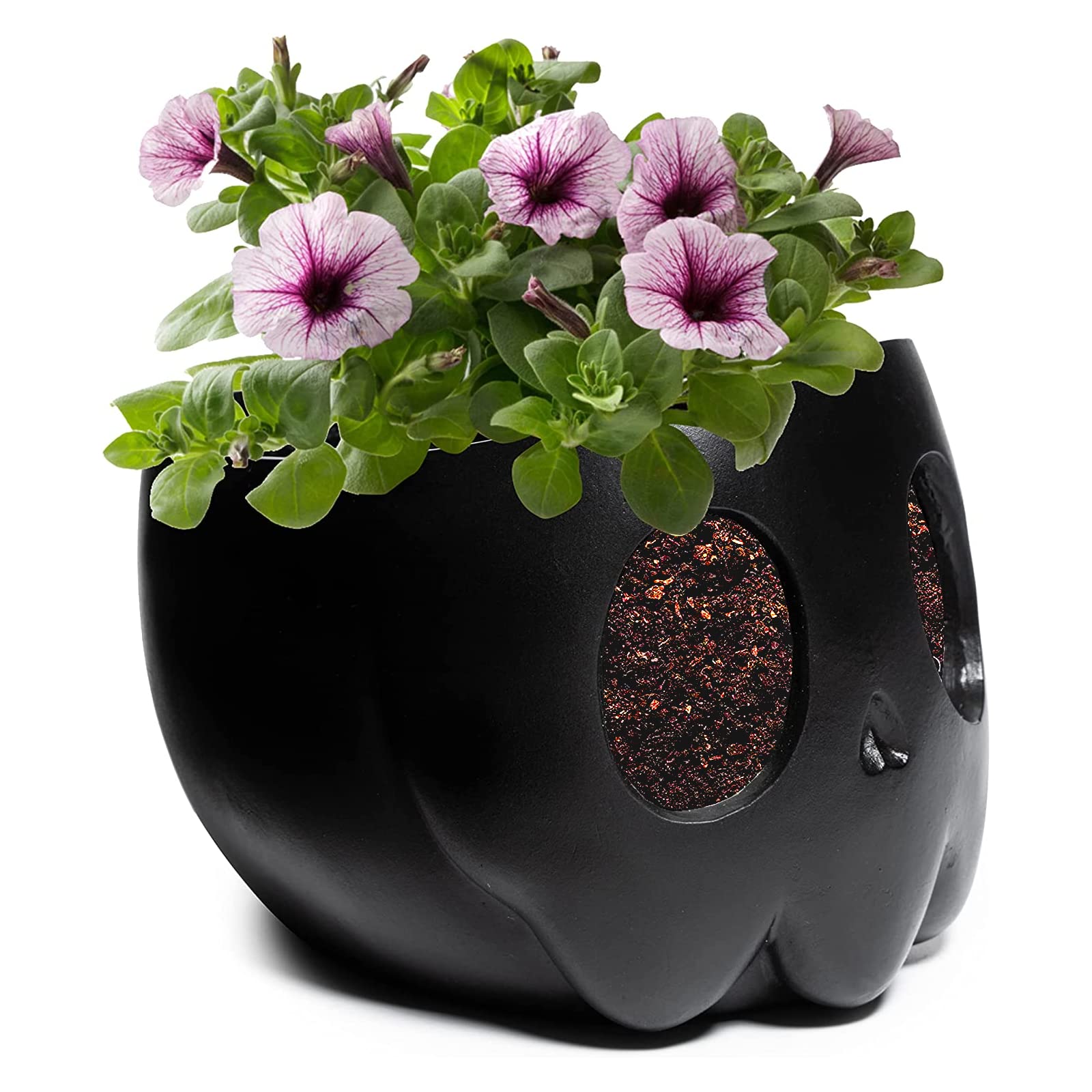 Amazon.com : GUTE Ghost Plant Planter Pot 4