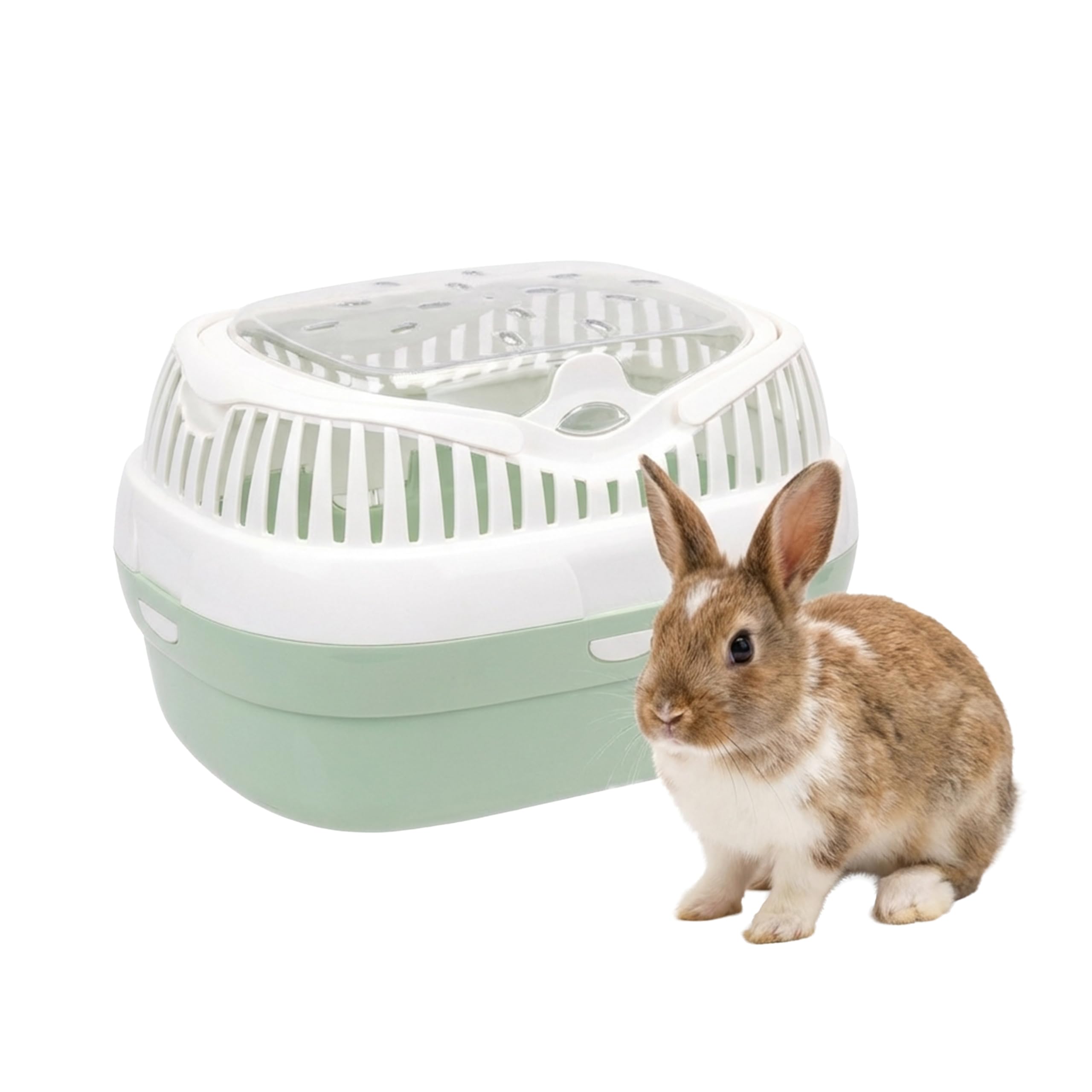 Ferplast Trasportín para Conejos, Conejillos de Indias y Ratones ALADINO Large Jaula de Viaje para roedores y Conejos, Plástico, Rejillas de ventilación, Cómoda asa, 36 x 26 x h 23 cm Verde