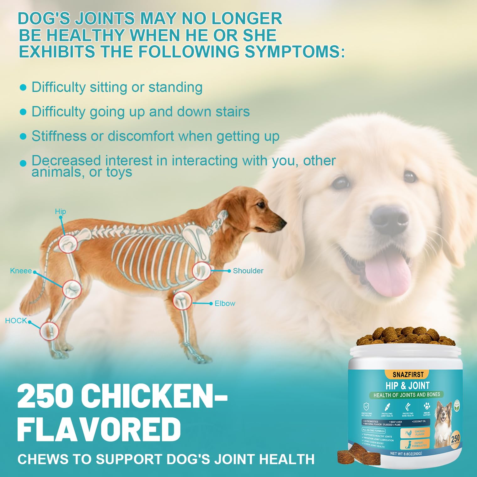 Hip and Joint Supplement for Dogs, glucosamine for Dogs Hip and Joint Supplement with Chondroitin, MSM, Omega 3 Chondroitin and Green Lipped Mussel, 250 Chews for All Senior Large Small Medium Breed - image 5