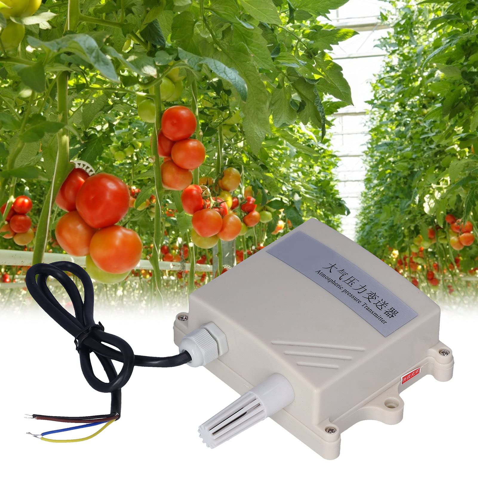 Monitoreo de presión atmosférica Transmisor de Sensor de presión atmosférica de 10‑30 V CC para estación meteorológica pequeña Agricultura